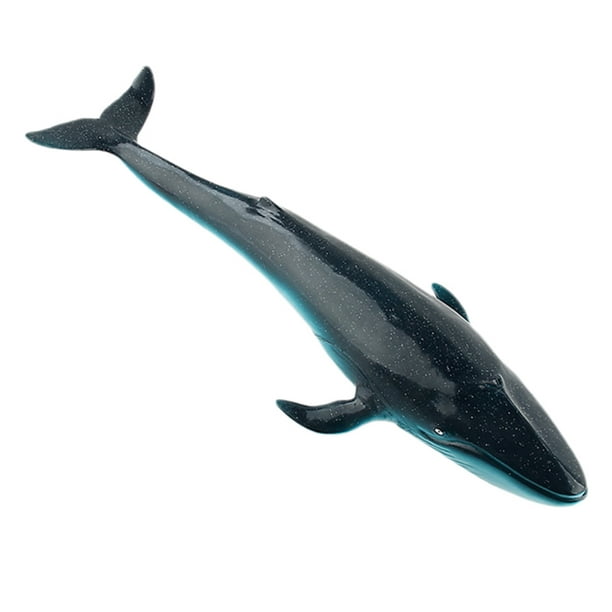 Realistic Ocean Sea Right Whale Animal Model Plastic Figure Kids Toy Gift